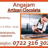Artizan ciocolata